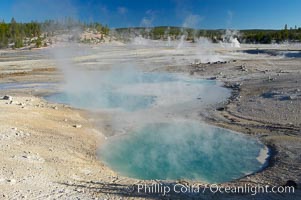 Colloidal Pool, Porcelain Basin, Norris Geyser Basin, Yellowstone National Park, Wyoming