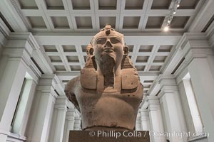 Colossal limestone bust of Amenhotep III, from the mortuary temple of Amenhotep III, Thebes, Egypt. 18th Dynasty, about 1350 BC. British Museum, London, United Kingdom, natural history stock photograph, photo id 28325