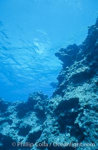 Coral bommies in Rose Atoll Lagoon, Rose Atoll National Wildlife Sanctuary