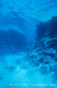 Coral bommies in Rose Atoll Lagoon, Rose Atoll National Wildlife Sanctuary