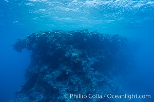 Coral bommies in Rose Atoll Lagoon, Rose Atoll National Wildlife Sanctuary