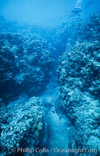 Coral Reef Scene Underwater at Rose Atoll, American Samoa, Rose Atoll National Wildlife Refuge