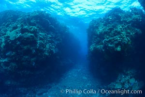 Coral reefscape in Fiji. Stony corals, such as the various species in this image, grow a calcium carbonate skeleton which they leave behind when they die. Over years, this deposit of calcium carbonate builds up the foundation of the coral reef. Fiji