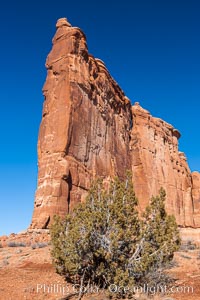 The Tower of Babel, Courthouse Towers, narrow sandstone fins towering above the surrounding flatlands, Arches National Park, Utah