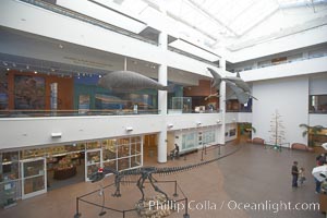 Courtyard, San Diego Natural History Museum.