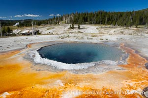 Crested Pool is a blue, superheated pool.  Unfortunately, it has claimed a life.  It reaches a overflowing boiling state every few minutes, then subsides a bit before building to a boil and overflow again.  Upper Geyser Basin, Yellowstone National Park, Wyoming