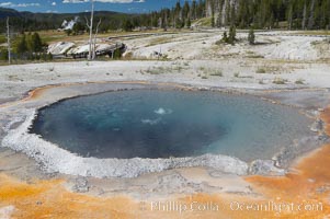 Crested Pool is a blue, superheated pool.  Unfortunately, it has claimed a life.  It reaches a overflowing boiling state every few minutes, then subsides a bit before building to a boil and overflow again.  Upper Geyser Basin, Yellowstone National Park, Wyoming
