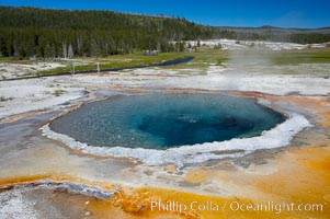 Crested Pool is a blue, superheated pool.  Unfortunately, it has claimed a life.  It reaches a overflowing boiling state every few minutes, then subsides a bit before building to a boil and overflow again.  Upper Geyser Basin, Yellowstone National Park, Wyoming