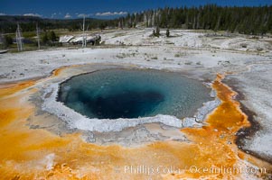 Crested Pool is a blue, superheated pool.  Unfortunately, it has claimed a life.  It reaches a overflowing boiling state every few minutes, then subsides a bit before building to a boil and overflow again.  Upper Geyser Basin, Yellowstone National Park, Wyoming