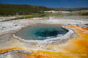 Crested Pool is a blue, superheated pool.  Unfortunately, it has claimed a life.  It reaches a overflowing boiling state every few minutes, then subsides a bit before building to a boil and overflow again.  Upper Geyser Basin, Yellowstone National Park, Wyoming