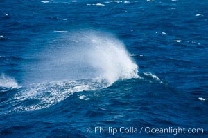 Cresting wave, spray blown off the top by strong winds, at sea