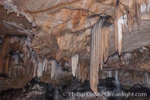 Many stalactites hang from the ceiling of the Marbled Room. Crystal Cave, Sequoia Kings Canyon National Park, California, USA, natural history stock photograph, photo id 09920
