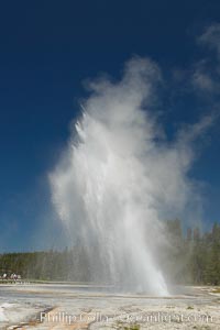 Daisy Geyser erupting with visitors visible in the distance..  Daisy Geyser, a cone-type geyser that shoots out of the ground diagonally, is predictable with intervals ranging from 120 to over 200 minutes.  It reaches heights of 75 feet, lasts 3 to 4 minutes and rarely erupts in concert with nearby Splendid Geyser.  Upper Geyser Basin, Yellowstone National Park, Wyoming