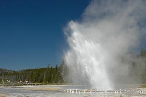 Daisy Geyser erupting with visitors visible in the distance..  Daisy Geyser, a cone-type geyser that shoots out of the ground diagonally, is predictable with intervals ranging from 120 to over 200 minutes.  It reaches heights of 75 feet, lasts 3 to 4 minutes and rarely erupts in concert with nearby Splendid Geyser.  Upper Geyser Basin, Yellowstone National Park, Wyoming