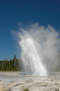 Daisy Geyser erupting with visitors visible in the distance..  Daisy Geyser, a cone-type geyser that shoots out of the ground diagonally, is predictable with intervals ranging from 120 to over 200 minutes.  It reaches heights of 75 feet, lasts 3 to 4 minutes and rarely erupts in concert with nearby Splendid Geyser.  Upper Geyser Basin, Yellowstone National Park, Wyoming