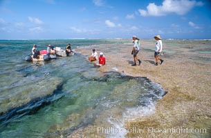 Damage Assessment Team at Rose Atoll NWR, Rose Atoll National Wildlife Refuge