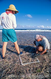 Damage Assessment Team at Rose Atoll NWR, Rose Atoll National Wildlife Refuge