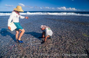 Damage Assessment Team at Rose Atoll NWR, Rose Atoll National Wildlife Refuge