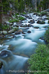 Dana Fork of the Tuolumne River, near Tioga Pass, Yosemite National Park, California