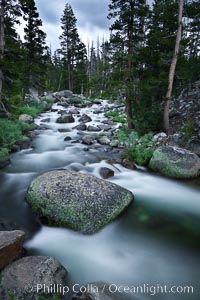 Dana Fork of the Tuolumne River, near Tioga Pass, Yosemite National Park, California