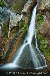 Darwin Falls in Death Valley, near the settlement of Panamint Springs.  The falls are fed by a perennial stream that flows through a narrow canyon of plutonic rock, and drop of total of 80' (24m) in two sections, Death Valley National Park, California