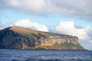 Darwin Island, the northernmost of the Galapagos Islands, hosts sheer seacliffs rising above the ocean that are home to tens of thousands of seabirds