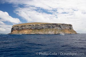 Darwin Island, the northernmost of the Galapagos Islands, hosts sheer seacliffs rising above the ocean that are home to tens of thousands of seabirds