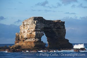 Darwins Arch, a dramatic 50-foot tall natural lava arch, rises above the ocean a short distance offshore of Darwin Island