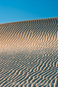 Ripples in sand dunes at sunset, California.  Winds reshape the dunes each day.  Early morning walks among the dunes can yield a look at sidewinder and kangaroo rats tracks the nocturnal desert animals leave behind.