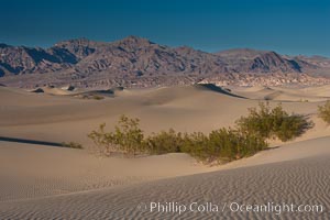 Sand Dunes, California.  Near Stovepipe Wells lies a region of sand dunes, some of them hundreds of feet tall, Death Valley National Park