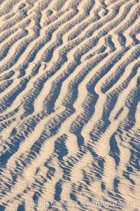 Ripples in sand dunes at sunset, California.  Winds reshape the dunes each day.  Early morning walks among the dunes can yield a look at sidewinder and kangaroo rats tracks the nocturnal desert animals leave behind, Stovepipe Wells, Death Valley National Park