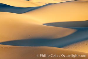 Sand Dunes, California.  Near Stovepipe Wells lies a region of sand dunes, some of them hundreds of feet tall, Death Valley National Park