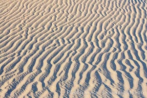 Ripples in sand dunes at sunset, California.  Winds reshape the dunes each day.  Early morning walks among the dunes can yield a look at sidewinder and kangaroo rats tracks the nocturnal desert animals leave behind, Stovepipe Wells, Death Valley National Park