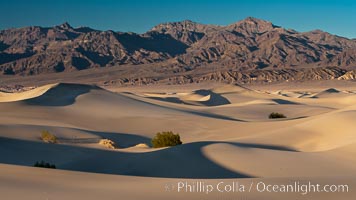 Sand Dunes and the Grapevine Mountains, California.  Near Stovepipe Wells lies a region of sand dunes, some of them hundreds of feet tall, Death Valley National Park