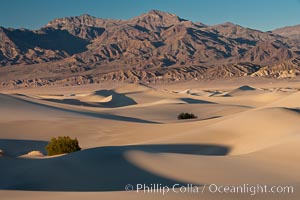 Sand Dunes and the Grapevine Mountains, California.  Near Stovepipe Wells lies a region of sand dunes, some of them hundreds of feet tall, Death Valley National Park