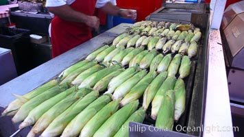 Grilled corn, corn cobs, Del Mar Fair