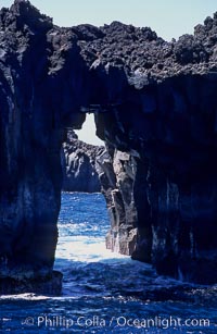 Arcos del Diablo (Devils Arches), a series of enormous volcanic arches that were originally lava tubes.  Some of the arches are exposed above water (seen here) while at least one that we discovered is entirely submarine (El Secreto del Vicki).  Weather side of Guadalupe Island (Isla Guadalupe)