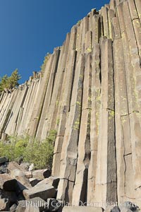 Devil's Postpile, a spectacular example of columnar basalt.  Once molten and under great pressure underground, the lava that makes up Devil's Postpile cooled evenly and slowly, contracting and fracturing into polygonal-sided columns.  The age of the formation is estimated between 100 and 700 thousand years old.  Sometime after the basalt columns formed, a glacier passed over the formation, cutting and polishing the tops of the columns.  The columns have from three to seven sides, varying because of differences in how quickly portions of the lava cooled, Devils Postpile National Monument, California