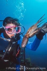 Diver and Octopus, Farnsworth Banks, Catalina Island