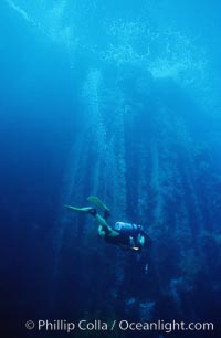 Basaltic columns, Los Arcos del Diablo, Guadalupe Island (Isla Guadalupe)