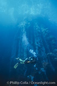 Basaltic columns, Los Arcos del Diablo, Guadalupe Island (Isla Guadalupe)