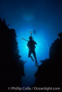 Diver and camera, Roatan