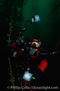 Diver and camera, Point Loma, San Diego, California