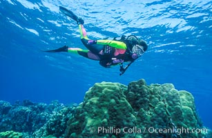 Diver and coral reef, Roatan