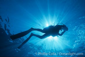 Diver and sunburst, Guadalupe Island (Isla Guadalupe)