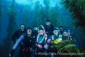 Divers amidst kelp, San Clemente Island