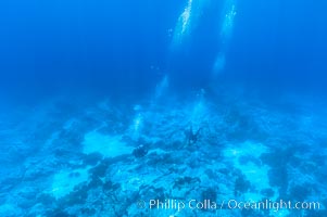 Divers swim over granite reef structure, Abalone Point, Guadalupe Island (Isla Guadalupe)