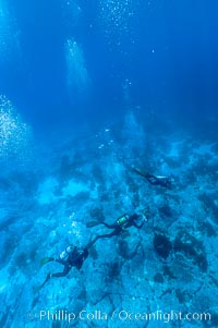 Divers swim over granite reef structure, Abalone Point, Guadalupe Island (Isla Guadalupe)