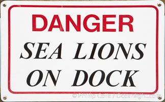 Dock sign warning visitors of sea lions, Astoria, Oregon