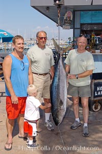 Doug Kuczkowski (left), Craig OConnor (center) and Joe Tobin (right) alongside OConnors pending spearfishing world record North Pacific yellowtail (77.4 pounds), taken on a breathold dive with a band-power speargun near Ba, H&M Landing, San Diego, California